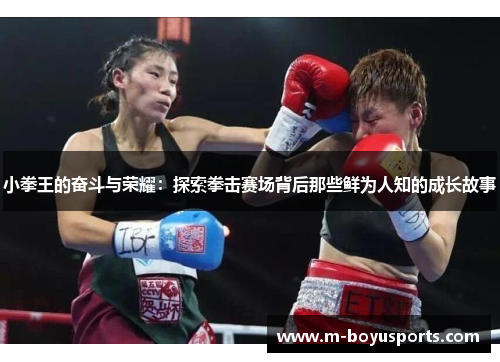 小拳王的奋斗与荣耀：探索拳击赛场背后那些鲜为人知的成长故事