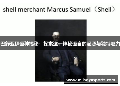 巴舒亚伊语种揭秘：探索这一神秘语言的起源与独特魅力